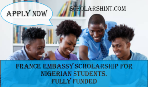 Embassy of France Scholarship for Nigerian Students 2024